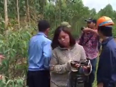 Anh cắt ra từ Clip