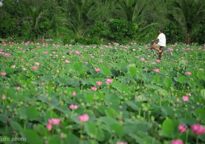 3 gợi ý 'đi trốn' giữa thiên nhiên ngay gần Sài Gòn