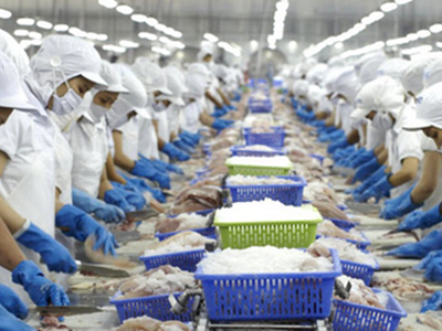 VHC: Giá cổ phiếu tăng cao, Red River Holding muốn bán toàn bộ cổ phiếu VHC