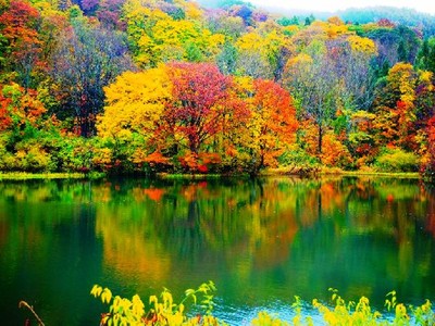 Lặng ngắm vẻ đẹp bình yên bất tận của hồ ngũ sắc Goshiki-numa