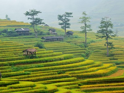 Xã Tú Lệ Là một thung lũng thuộc huyện Văn Chấn, tỉnh Yên Bái. Đây là một trong những điểm dừng chân yêu thích của bất cứ du khách nào trên đường qua Mù Cang Chải.