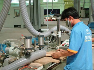 Tân Liên Phát đăng ký bán gần 29 triệu cổ phiếu TTF