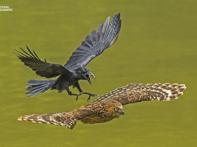 Những bức ảnh thiên nhiên tuyệt đẹp của năm 2016