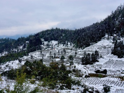 Lễ hội Mùa đông đầu tiên được tổ chức tại Sa Pa