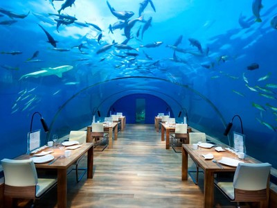 6 nhà hàng đắt đỏ nhất thế giới