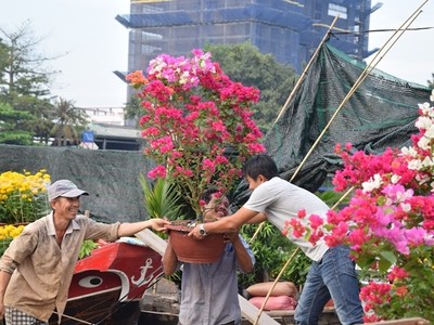 Chợ hoa Tết Sài Gòn thưa thớt, miền Tây đông đúc