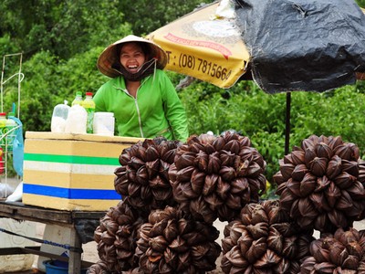 Lạ lùng trái dừa nước miền Tây