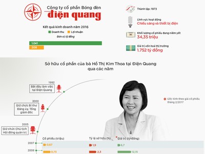 700 tỷ đồng cổ phần của gia đình Thứ trưởng Hồ Thị Kim Thoa tại Điện Quang