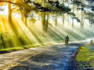 Những cái 'KHÔNG' thú vị ở Đà Lạt