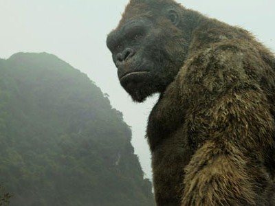 Kong là tác phẩm của Hollywood với nhiều cảnh được quay ở Việt Nam.