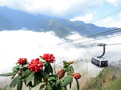 Tháng Tư rực rỡ với Lễ hội hoa đỗ quyên tại Fansipan Legend