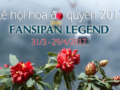 Fansipan Legend chuẩn bị khai mạc Lễ hội hoa đỗ quyên 2017