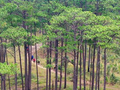 Trekking trên "nóc nhà Tây Nguyên" Bidoup