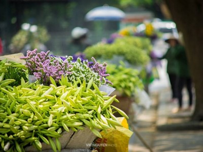 Gánh loa kèn và nỗi nhớ tháng 4