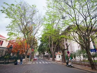 Ngỡ ngàng vẻ đẹp của Hà Nội trong tiết giao mùa tháng 4