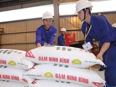 Đạm Ninh Bình là một trong số các dự án đã được khởi động lại sản xuất từ đầu năm 2017, tuy nhiên dự án vẫn chưa thể quyết toán, do vướng mắc xử lý hợp đồng EPC với tổng thầu Trung Quốc. 