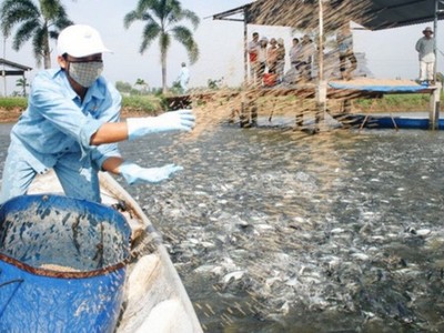 Quý II niên độ tài chính 2017, HVG lỗ gần 29,5 tỷ đồng