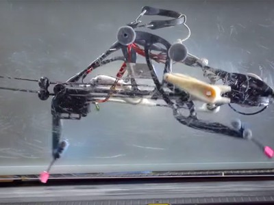 Robot chạy nhanh hơn cả nhà vô địch Olympic