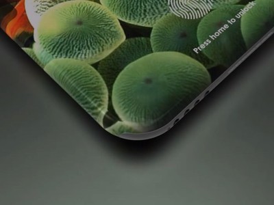 Hình dung về iPhone màn hình 360 độ năm 2020