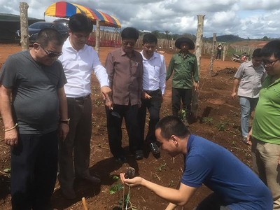 Ban lãnh đạo Nafoods tham gia lễ xuống giống chanh leo cùng đối tác tại Lào.
