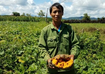 Nông dân điêu đứng vì tiểu thương ép giá bí ngô.