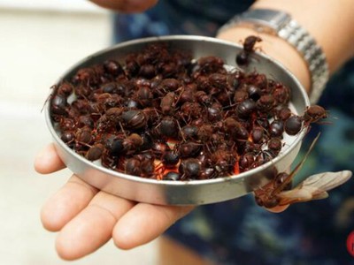 Đặc sản 'từ trên trời rơi xuống'