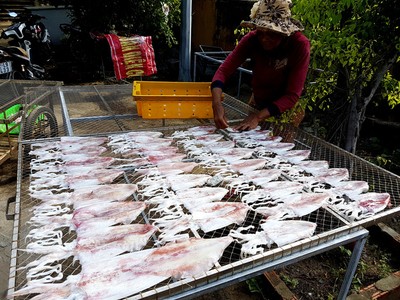 Người dân đang phơi mực một nắng bán cho du khách
