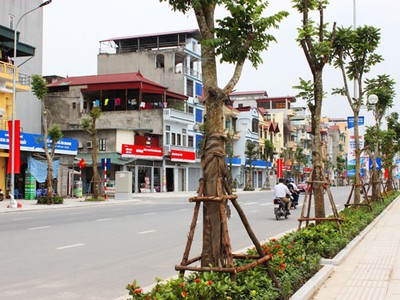 Hà Nội đang làm gì để cải tạo môi trường sống?