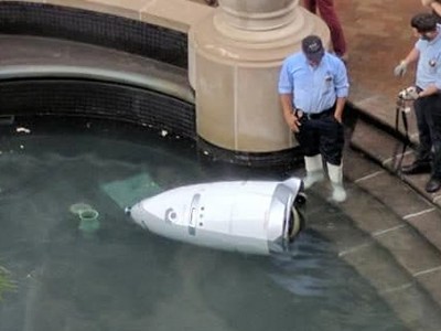 Robot an ninh Knightscope K5 "chết đuối" trong đài phun nước. Ảnh: Twitter.