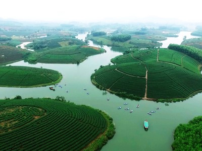 Đi trốn nóng ở ốc đảo chè đẹp mê hồn xứ Nghệ
