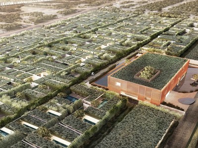 The Coast Villas – Kiến trúc xanh bên bờ biển.