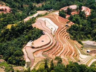 Mảng màu vàng của đất ruộng bậc thang giữa núi rừng - Ảnh: Hải Dương.