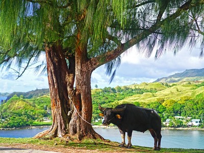 Guam - thiên đường du lịch 'bất đắc dĩ' nổi danh thế giới