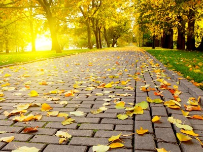 Thị trường tài chính 24h: Nội rụt rè, ngoại hào hứng