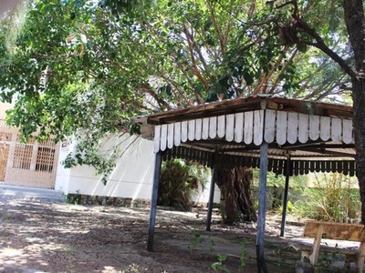 Bên trong khu đất vàng giao cho dự án Mường Thanh Phú Yên bị bỏ hoang hơn một năm qua .