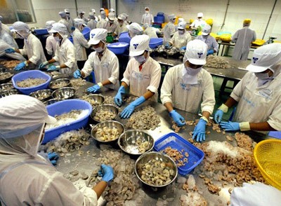 Hơn 1.000 công ty Việt Nam không thể xuất hàng vào Mỹ