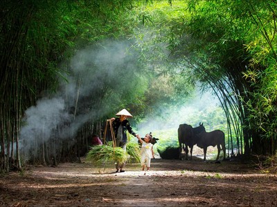 Những bức ảnh ấn tượng vòng chung khảo 'Dấu ấn Việt Nam'