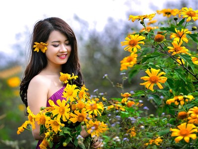 Ba điểm 'săn' hoa dã quỳ hot nhất mùa thu năm nay