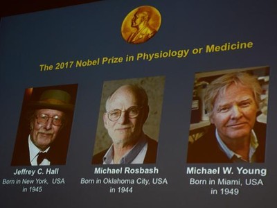 Ba nhà khoa học Mỹ giành Nobel Y học 2017 - Ảnh: AFP