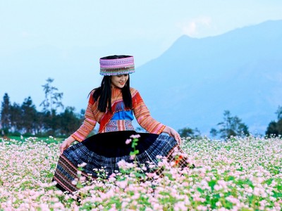Sắp diễn ra Lễ hội hoa Tam giác mạch Fansipan