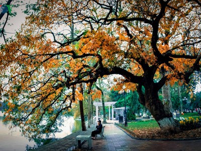 Hồ Gươm quyến rũ trong hương sắc mùa thu