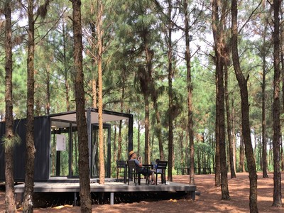 Khu rừng thông bên hồ - điểm chơi cuối tuần gần Hà Nội