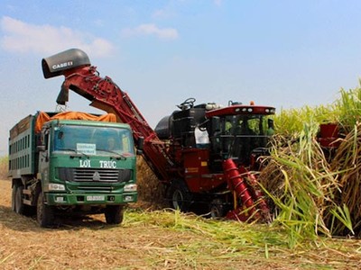 SBT: Cổ đông lớn đăng ký mua 10 triệu cổ phiếu