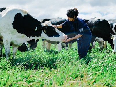 F&N Dairy Investment mòn mỏi đăng ký mua cổ phiếu VNM