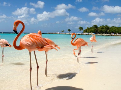 10 điểm đến dân không đông bằng khách