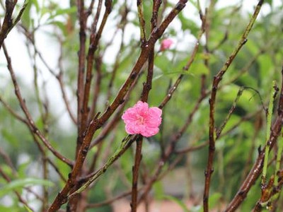 Sự kiện chứng khoán đáng chú ý ngày 30/1