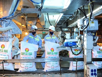 Lợi nhuận giảm mạnh quý IV, Đạm Cà Mau vẫn vượt chỉ tiêu cả năm 2017