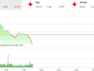Phiên sáng 13/4: Nhà đầu tư thận trọng, VN-Index nhanh chóng quay đầu