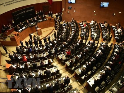 Toàn cảnh một phiên họp Thượng viện Mexico tại Mexico City. (Nguồn: AFP/TTXVN).