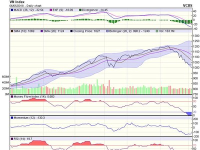 Biểu đồ kỹ thuật VN-Index. Nguồn: VCBS.